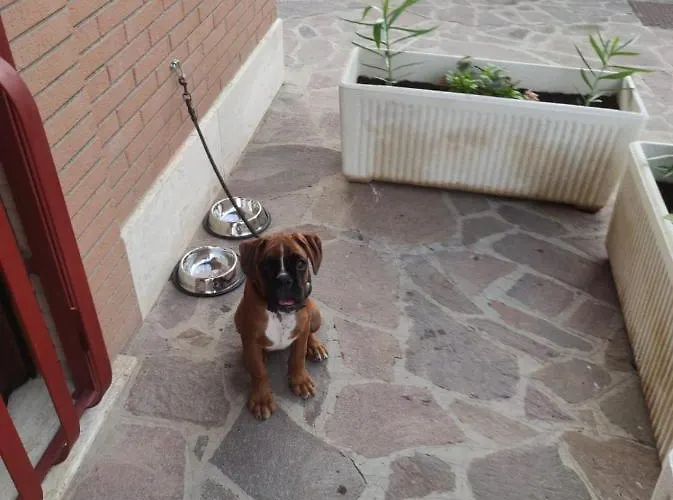 1 Metro A Free Parking * Rom